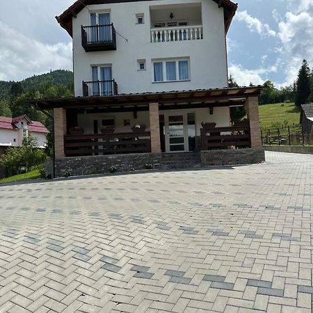 BorşaCasa Ika&Matei别墅 外观 照片