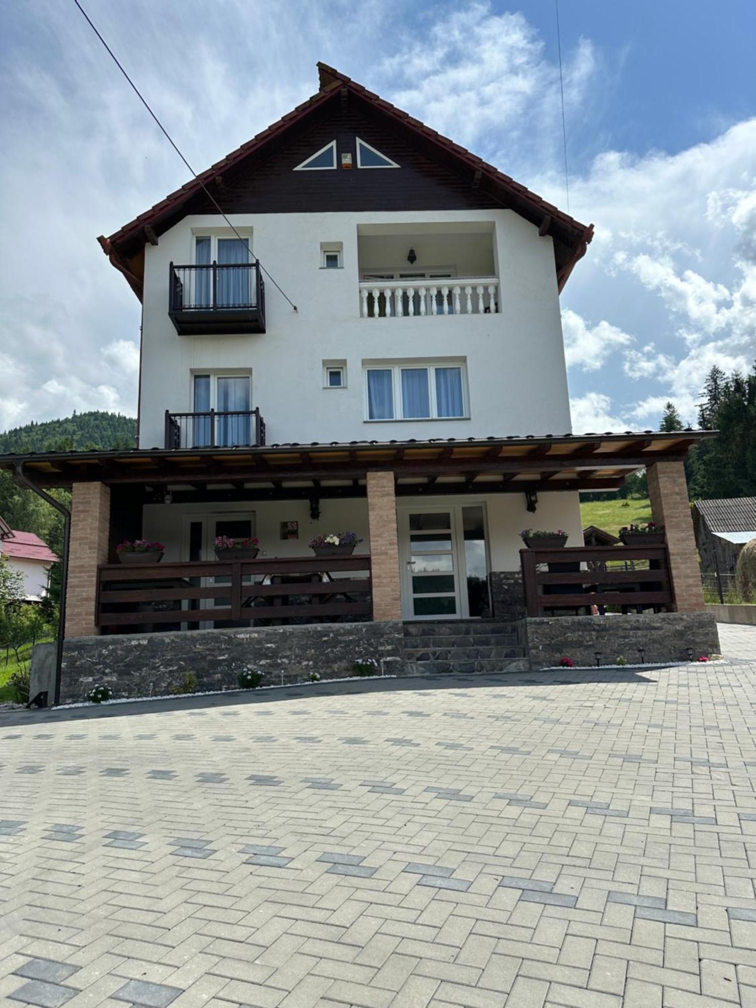 BorşaCasa Ika&Matei别墅 外观 照片